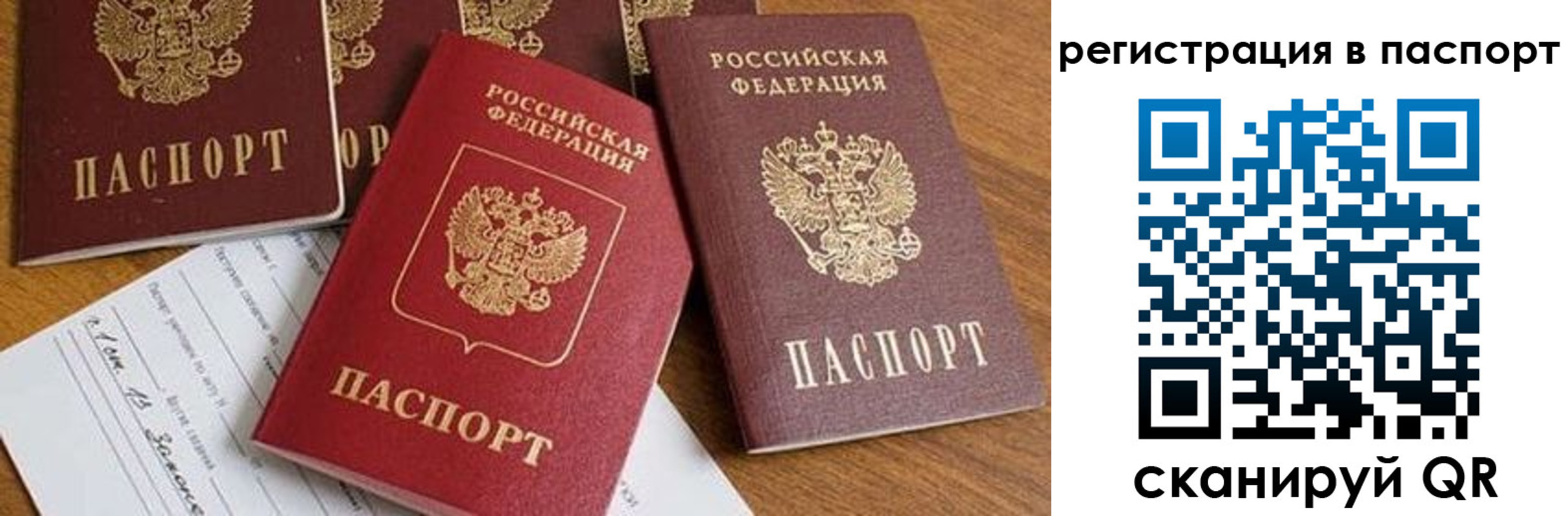 прописка в Гаджиево